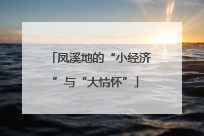 凤溪地的“小经济”与“大情怀”