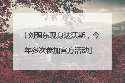 刘强东现身达沃斯，今年多次参加官方活动