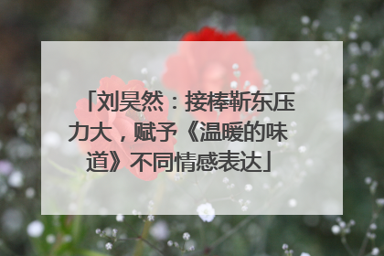 刘昊然：接棒靳东压力大，赋予《温暖的味道》不同情感表达