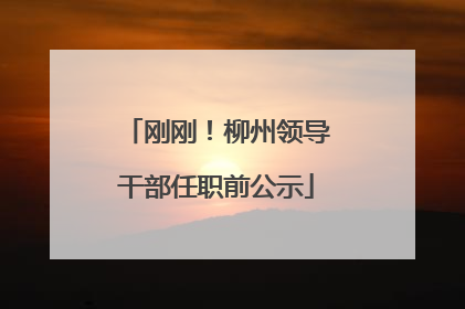 刚刚！柳州领导干部任职前公示