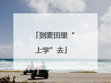 到麦田里“上学”去