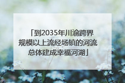 到2035年川渝跨界规模以上流经场镇的河流总体建成幸福河湖