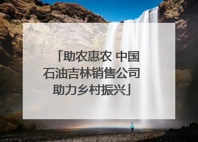 助农惠农 中国石油吉林销售公司助力乡村振兴