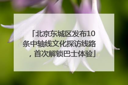 北京东城区发布10条中轴线文化探访线路，首次解锁巴士体验