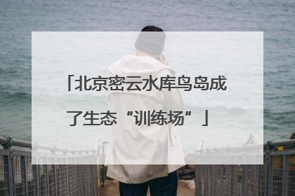 北京密云水库鸟岛成了生态“训练场”