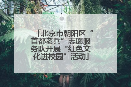 北京市朝阳区“首都老兵”志愿服务队开展“红色文化进校园”活动