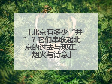 北京有多少“井”？它们串联起北京的过去与现在、烟火与诗意