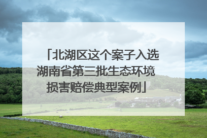 北湖区这个案子入选湖南省第三批生态环境损害赔偿典型案例