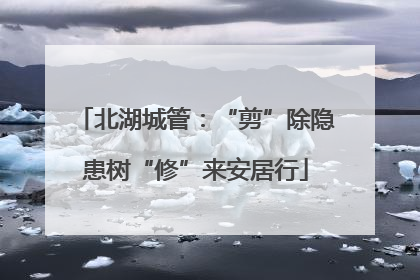 北湖城管：“剪”除隐患树“修”来安居行