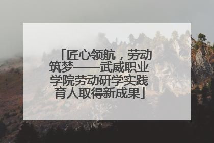 匠心领航，劳动筑梦——武威职业学院劳动研学实践育人取得新成果