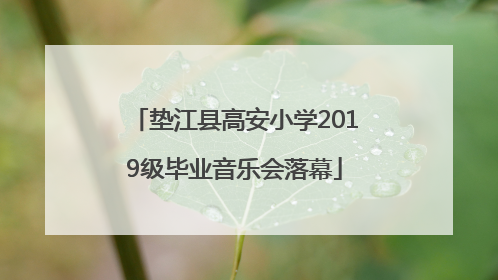 垫江县高安小学2019级毕业音乐会落幕