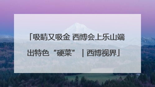 吸睛又吸金 西博会上乐山端出特色“硬菜”|西博视界