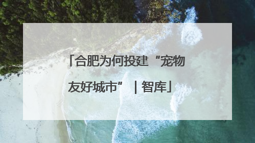 合肥为何投建“宠物友好城市”｜智库