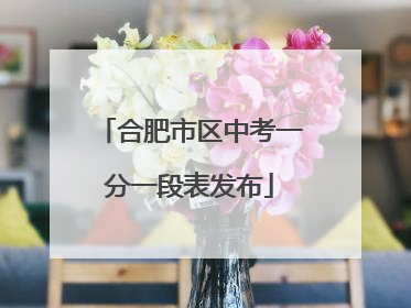 合肥市区中考一分一段表发布