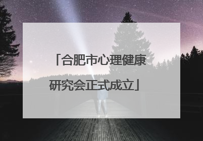 合肥市心理健康研究会正式成立