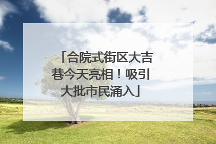 合院式街区大吉巷今天亮相！吸引大批市民涌入
