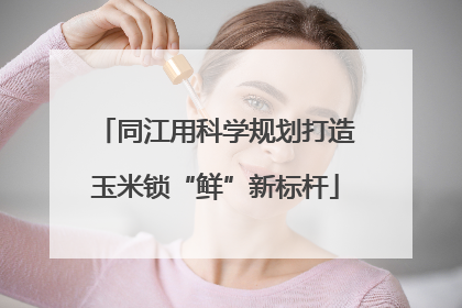 同江用科学规划打造玉米锁“鲜”新标杆