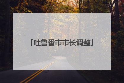 吐鲁番市市长调整