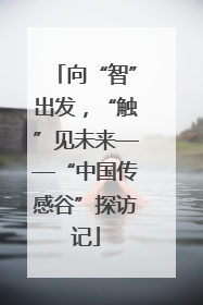 向“智”出发，“触”见未来——“中国传感谷”探访记