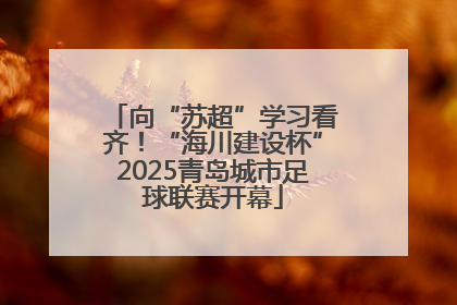 向“苏超”学习看齐！“海川建设杯”2025青岛城市足球联赛开幕
