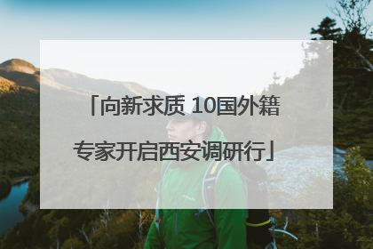 向新求质 10国外籍专家开启西安调研行