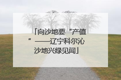 向沙地要“产值”——辽宁科尔沁沙地兴绿见闻