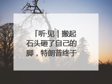 听·见｜搬起石头砸了自己的脚，特朗普终于“慌”了！