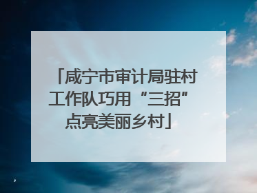 咸宁市审计局驻村工作队巧用“三招”点亮美丽乡村
