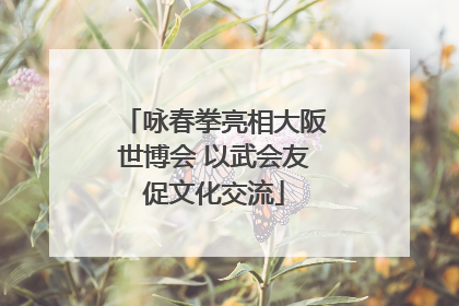 咏春拳亮相大阪世博会 以武会友促文化交流