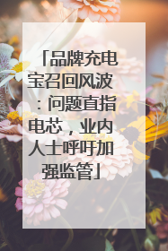 品牌充电宝召回风波：问题直指电芯，业内人士呼吁加强监管