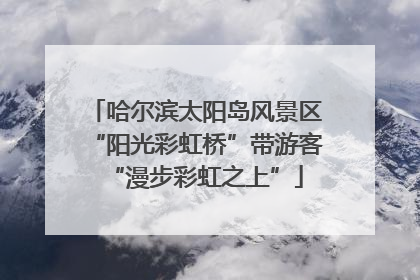 哈尔滨太阳岛风景区“阳光彩虹桥”带游客“漫步彩虹之上”