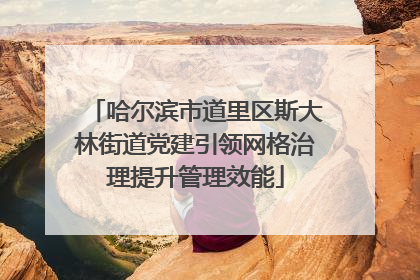 哈尔滨市道里区斯大林街道党建引领网格治理提升管理效能