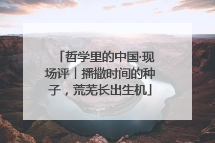 哲学里的中国·现场评丨播撒时间的种子，荒芜长出生机