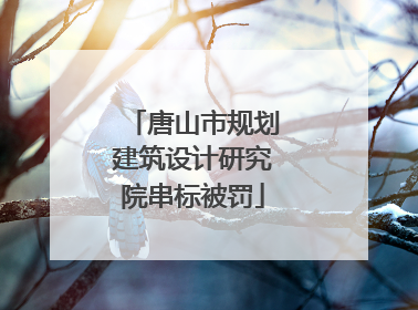 唐山市规划建筑设计研究院串标被罚