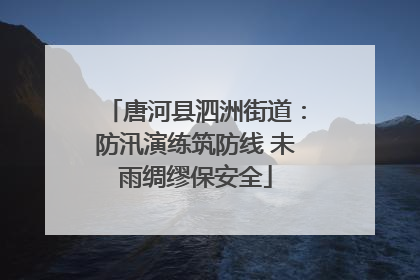 唐河县泗洲街道：防汛演练筑防线 未雨绸缪保安全