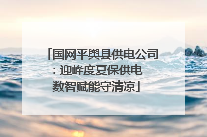 国网平舆县供电公司：迎峰度夏保供电  数智赋能守清凉