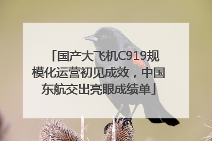 国产大飞机C919规模化运营初见成效，中国东航交出亮眼成绩单