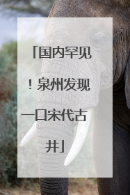 国内罕见！泉州发现一口宋代古井