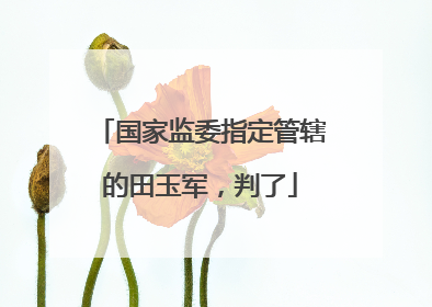 国家监委指定管辖的田玉军，判了