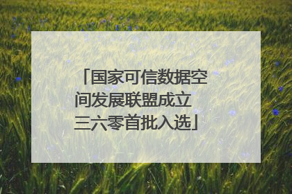 国家可信数据空间发展联盟成立 三六零首批入选