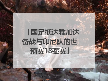 国足抵达雅加达备战与印尼队的世预赛18强赛