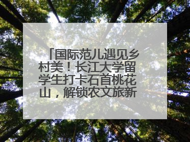 国际范儿遇见乡村美！长江大学留学生打卡石首桃花山，解锁农文旅新玩法！
