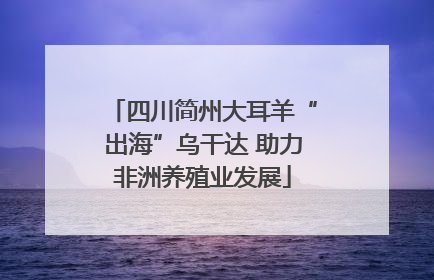 四川简州大耳羊“出海”乌干达 助力非洲养殖业发展