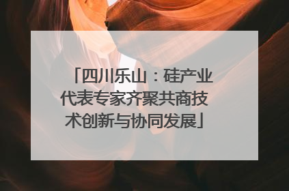 四川乐山：硅产业代表专家齐聚共商技术创新与协同发展