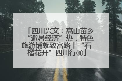 四川兴文：高山苗乡“避暑经济”热，特色旅游铺就致富路丨“石榴花开”四川行⑧