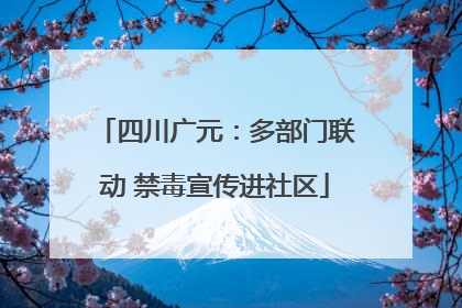 四川广元：多部门联动 禁毒宣传进社区