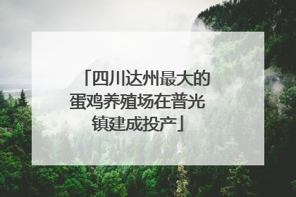 四川达州最大的蛋鸡养殖场在普光镇建成投产