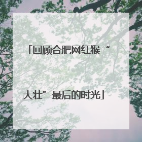 回顾合肥网红猴“大壮”最后的时光