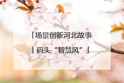 场景创新河北故事丨码头“智慧风”