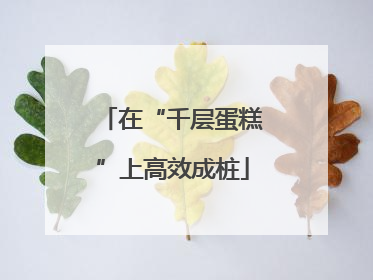 在“千层蛋糕”上高效成桩